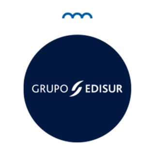 Grupo Edisur